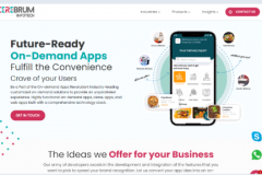 Product Marketing of Cerebrum